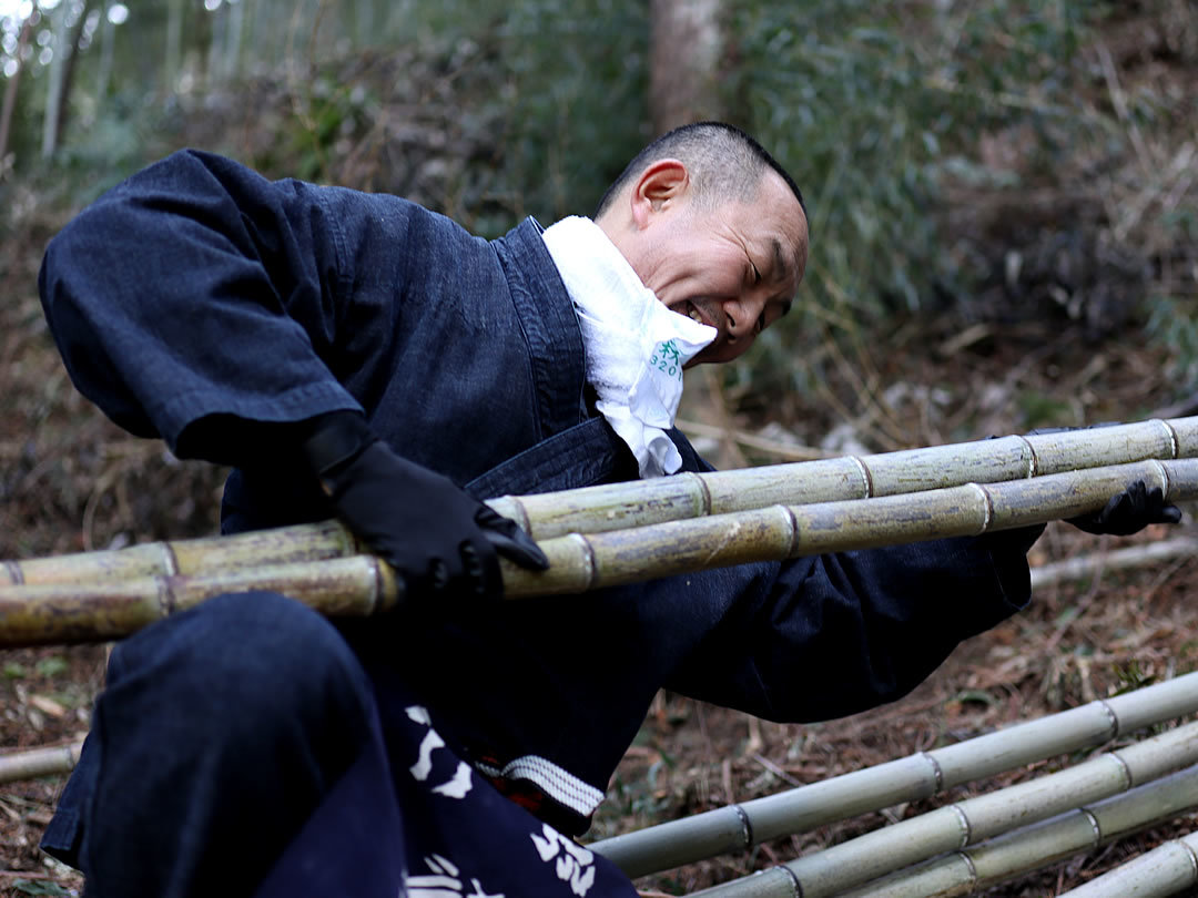 虎竹、竹虎四代目（山岸義浩）