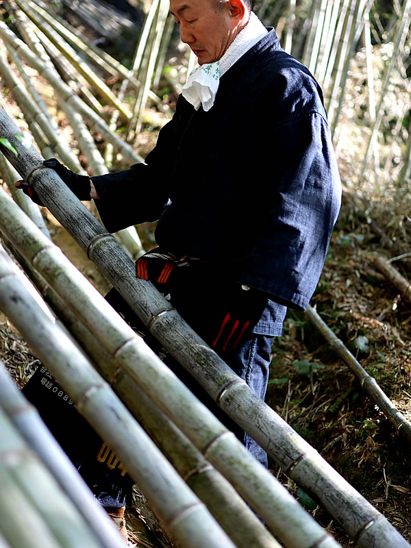 虎竹の里、竹虎四代目（山岸義浩）