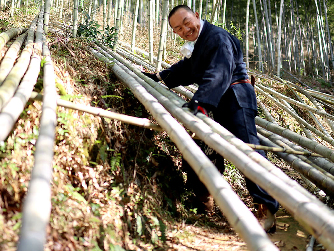 虎竹伐採、竹虎四代目（山岸義浩）