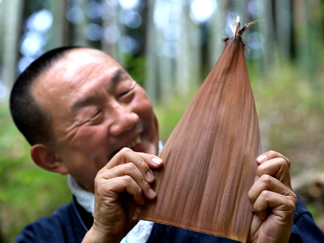 日本唯一の虎竹竹皮