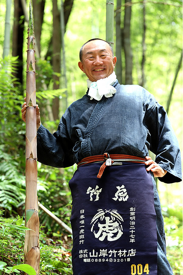 淡竹の筍、竹虎四代目（山岸義浩）