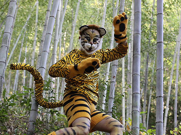 2010tiger.jpg