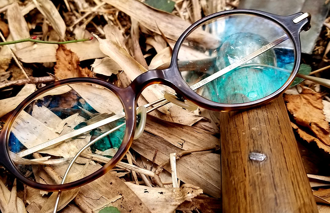 竹林で落としたメガネ