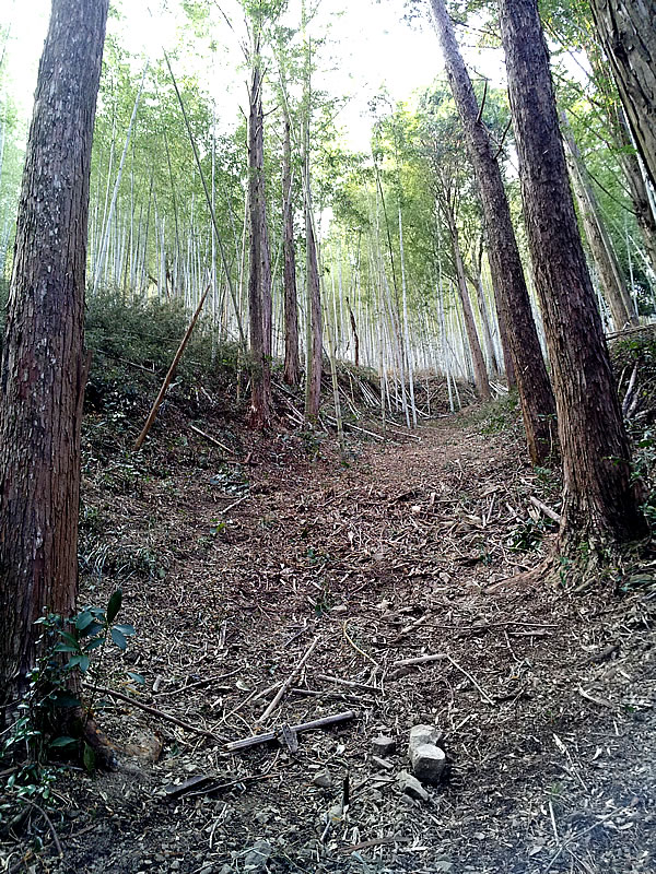 虎竹の里の山々