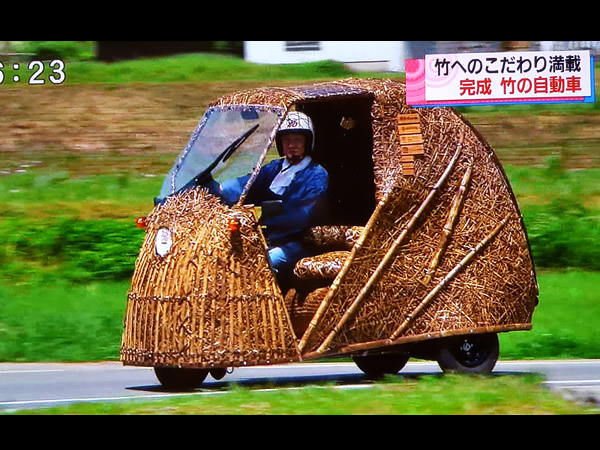 日本唯一虎竹自動車（Tiger Bamboo car）