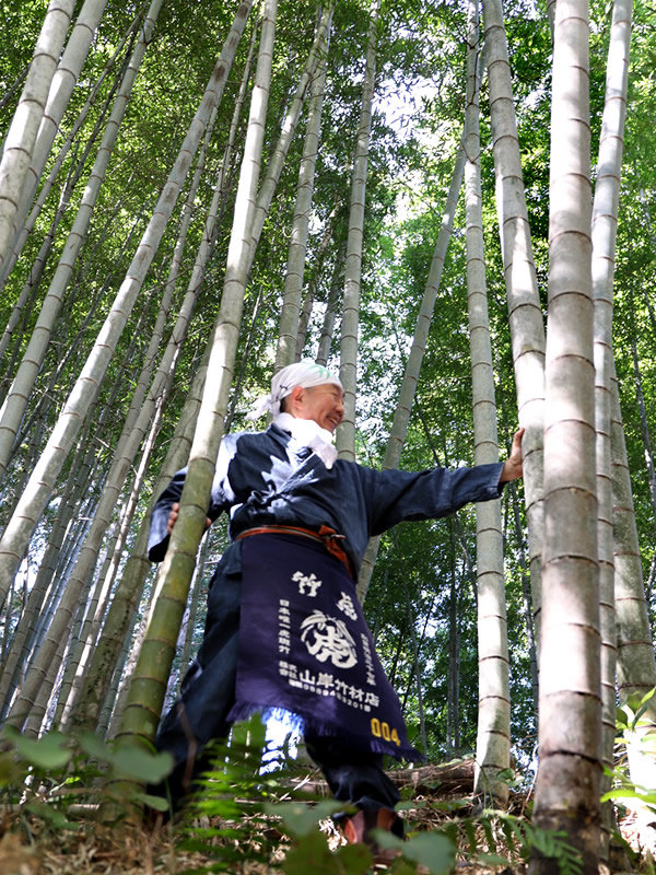 孟宗竹、竹虎四代目（山岸義浩）