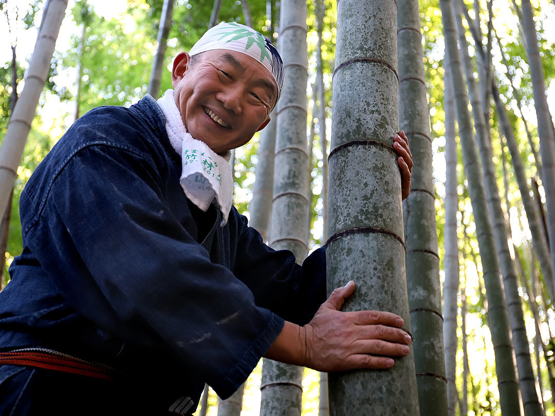 竹虎四代目（山岸義浩）、孟宗竹