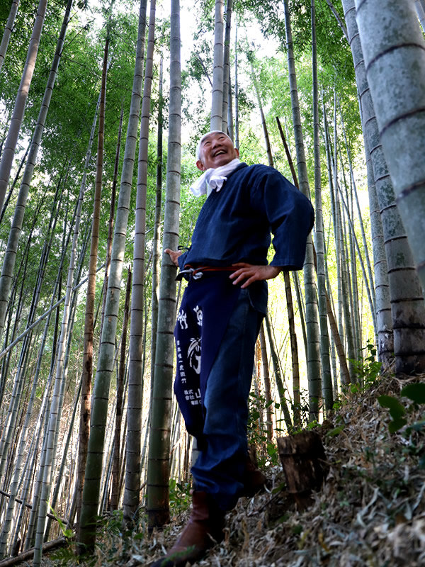 孟宗竹、竹虎四代目（山岸義浩）