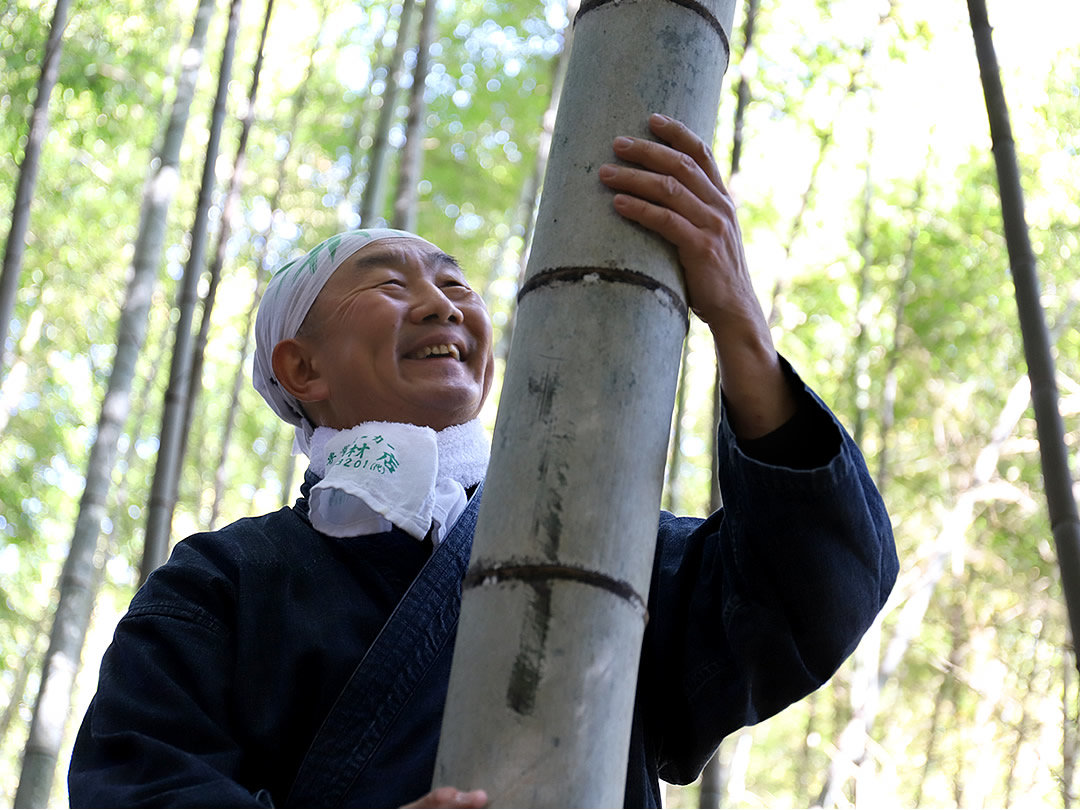 筍は10日で竹になる 竹虎四代目がゆく