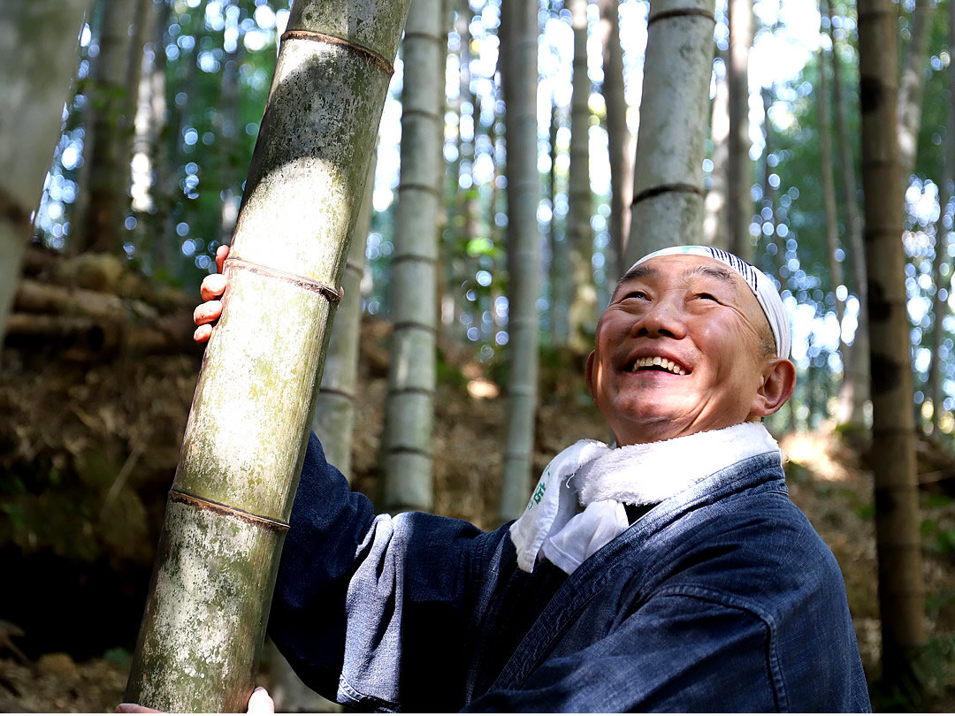 孟宗竹、竹虎四代目（山岸義浩）