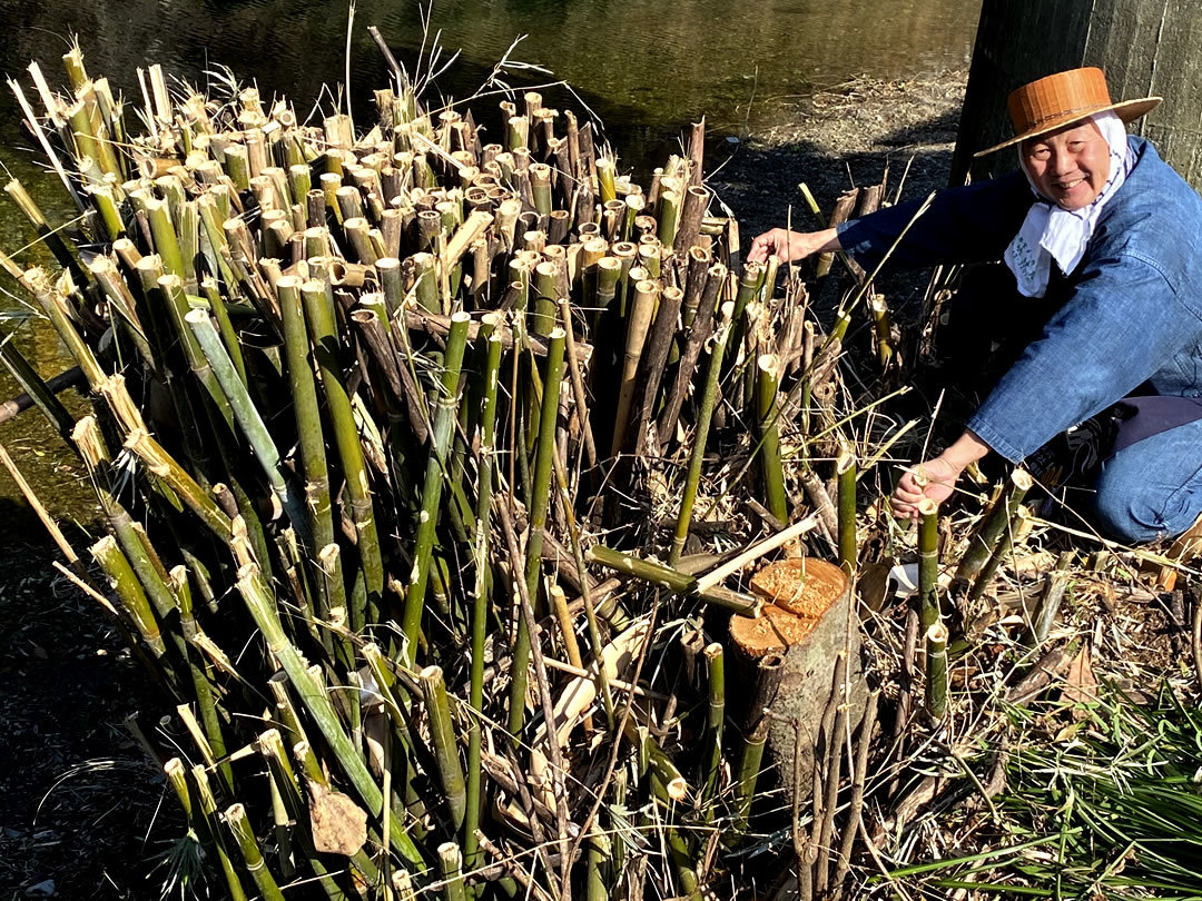 蓬莱竹伐り株、竹虎四代目（山岸義浩）