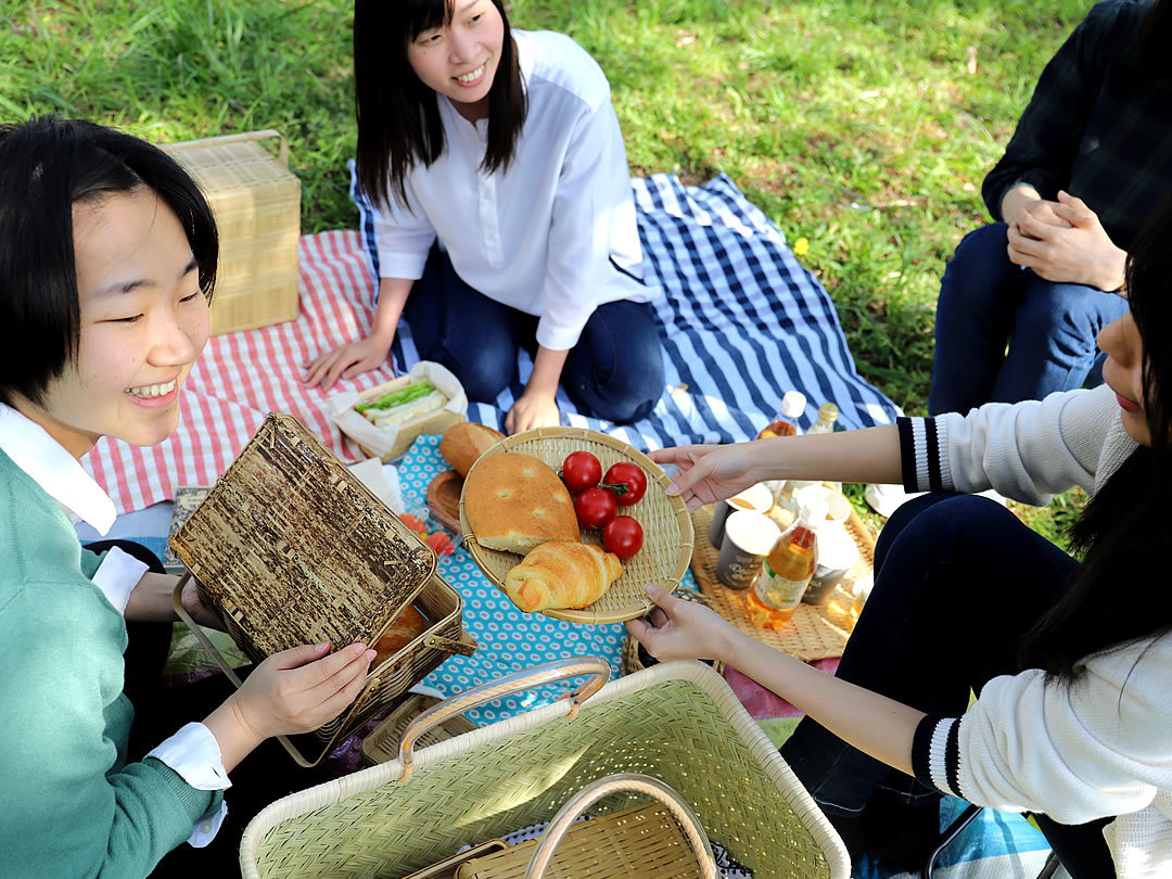 春の行楽、お花見