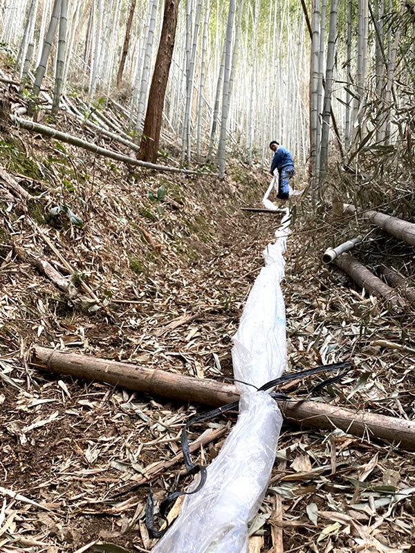 竹の道、竹虎四代目（山岸義浩）