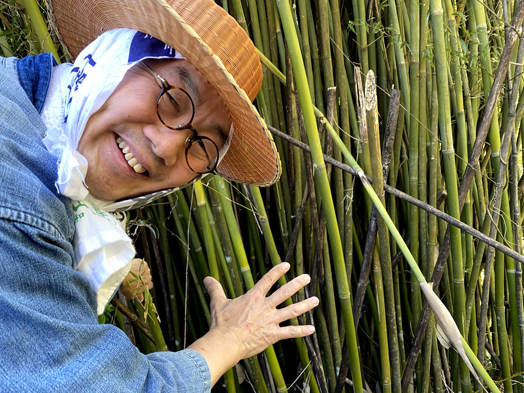 護岸に蓬莱竹