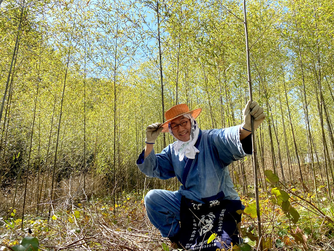 竹と笹の違い、黒竹、竹虎四代目（山岸義浩）