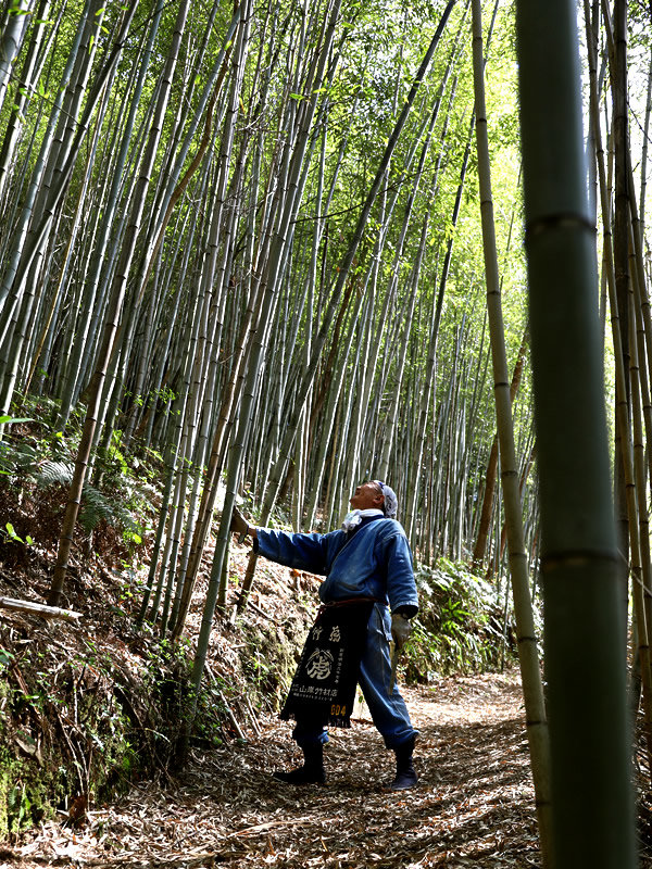 虎竹、竹虎四代目（山岸義浩）