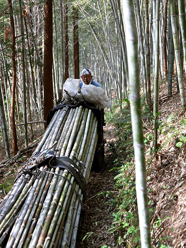 虎竹山出し、竹虎四代目（山岸義浩）