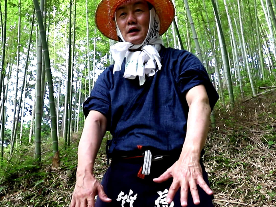 竹酢液の蚊除け効果