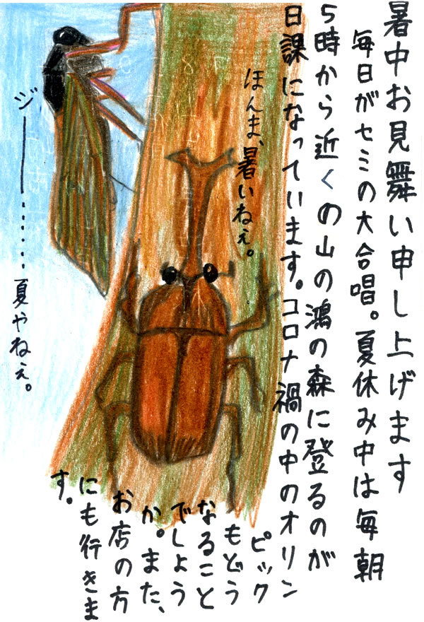 暑中見舞いの絵葉書