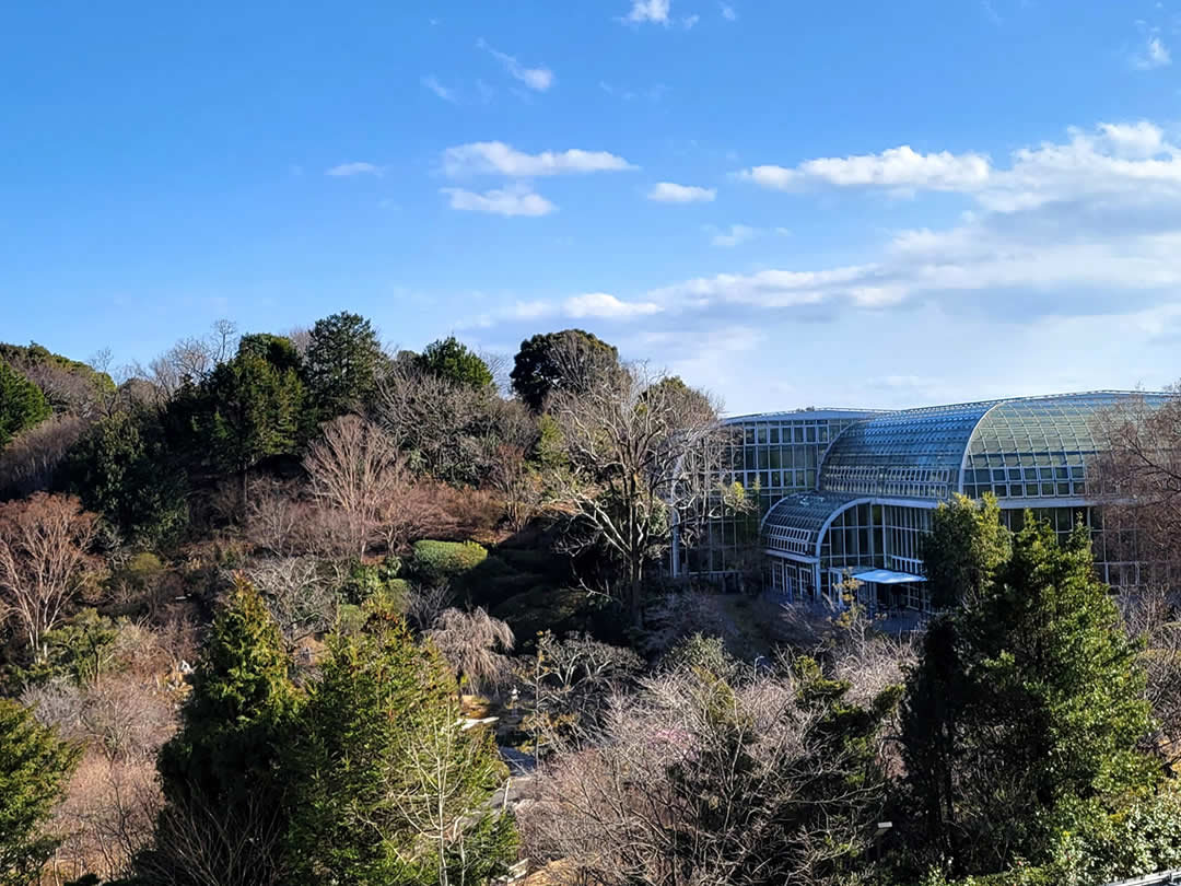 牧野植物園温室