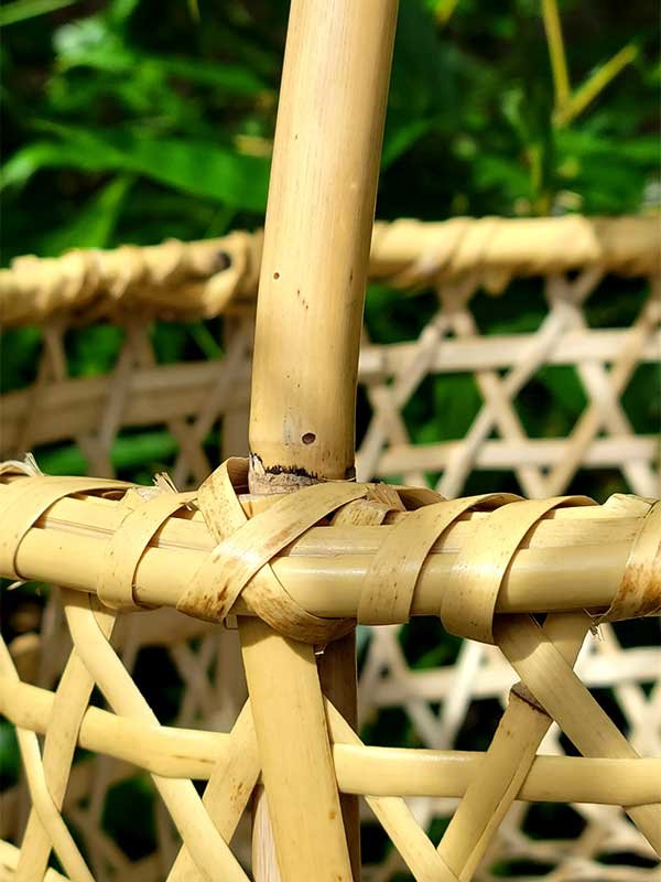 根曲竹の虫穴