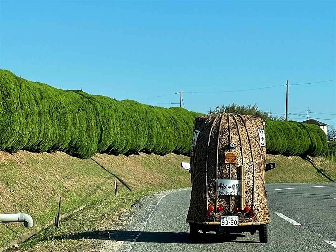 竹トラッカー後部