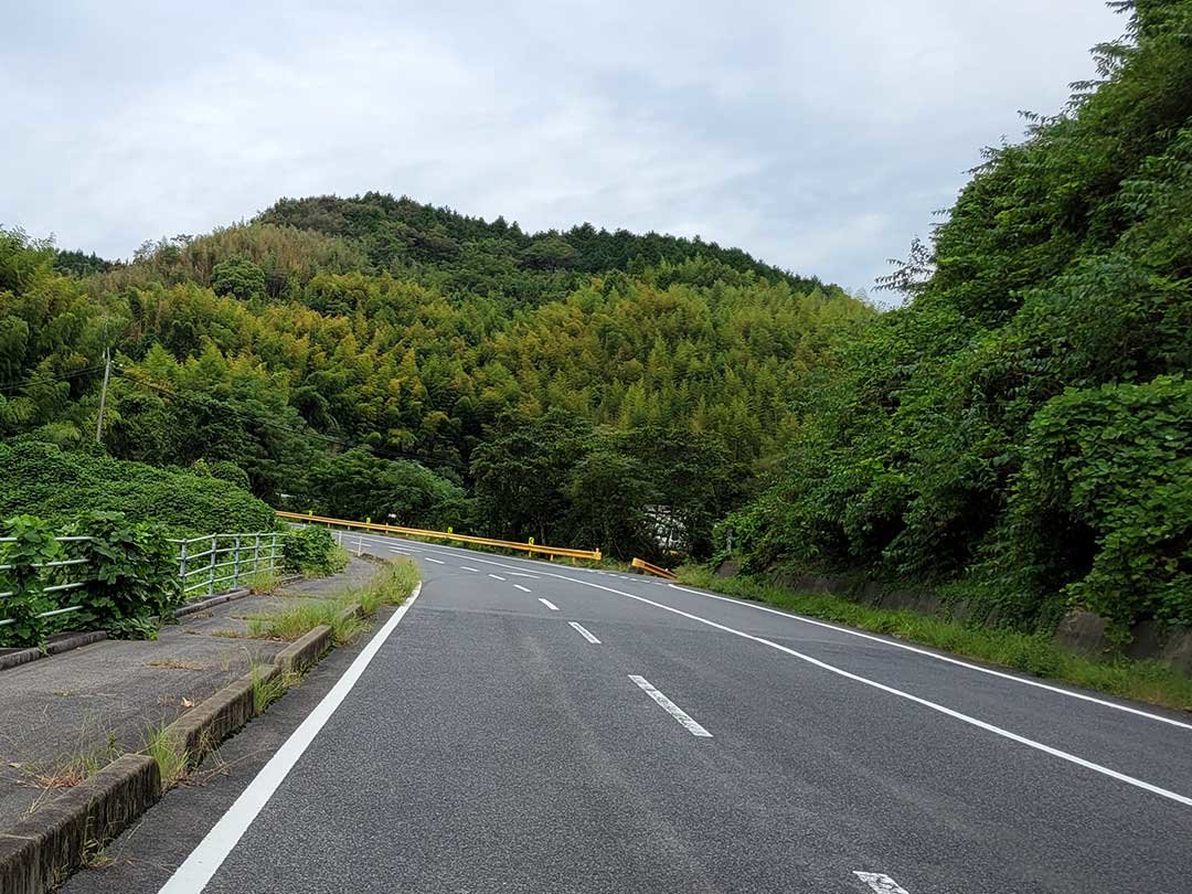 竹林の多い山口県