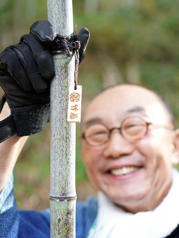 牧野植物園に虎竹移植プロジェクト