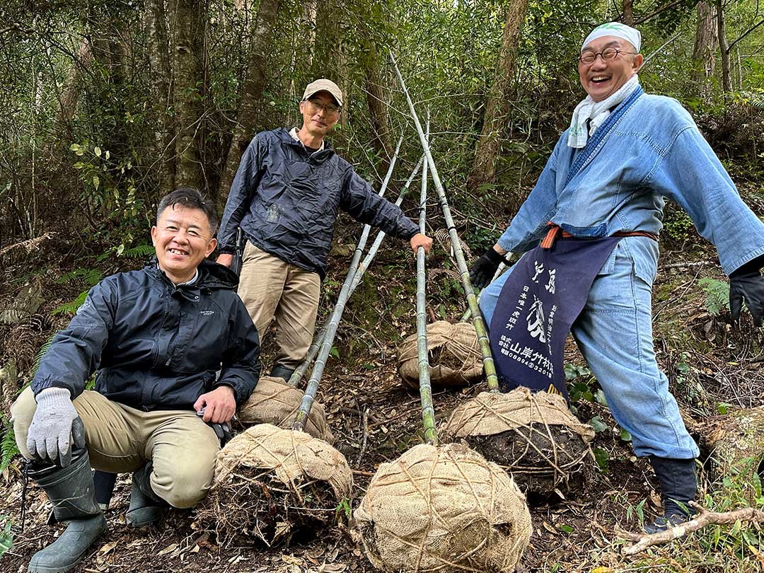 日本唯一の虎竹、竹虎四代目（山岸義浩）