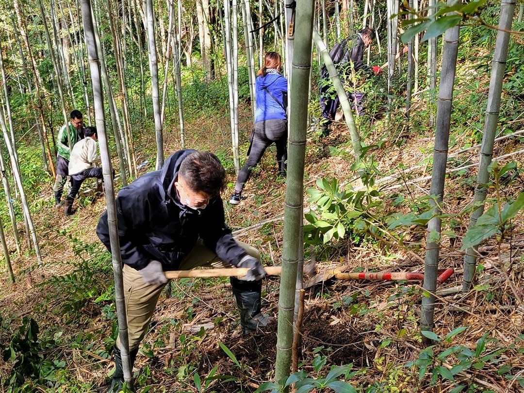 虎竹根堀り、竹虎専務