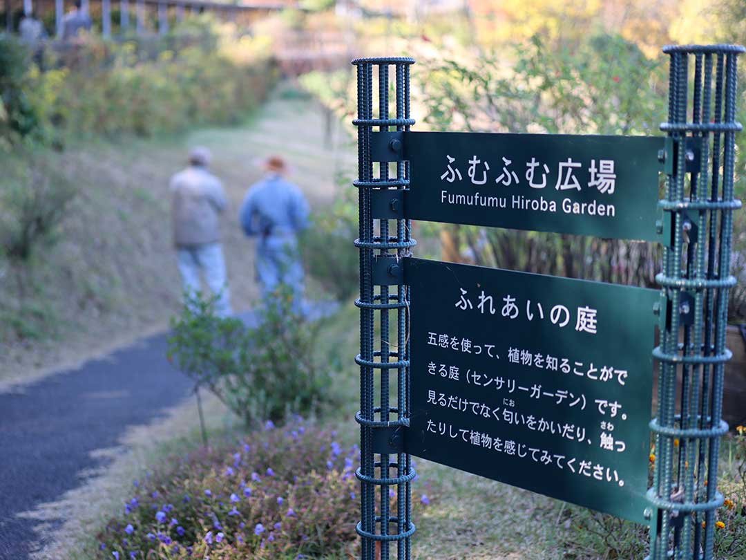 牧野植物園虎竹移植