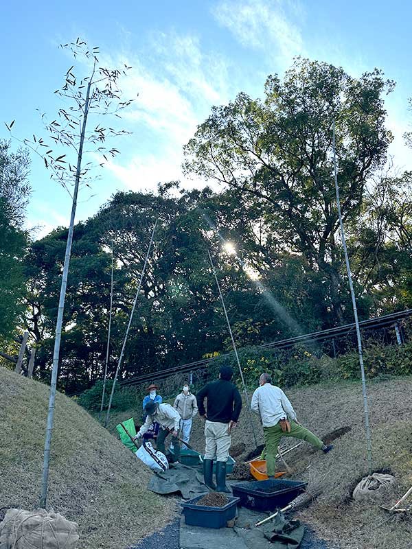 牧野植物園ふむふむ広場に虎竹移植