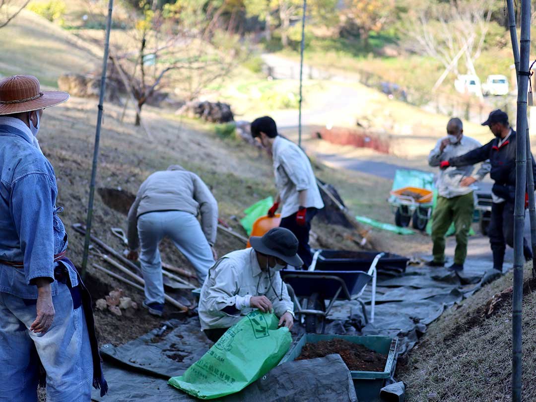 牧野植物園ふむふむ広場に虎竹移植