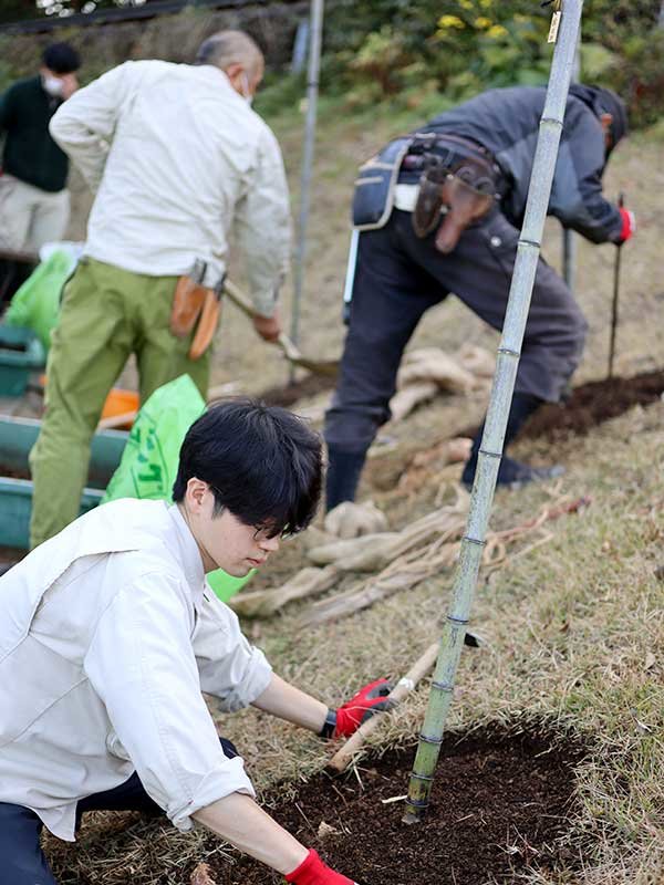 牧野植物園ふむふむ広場に虎竹移植