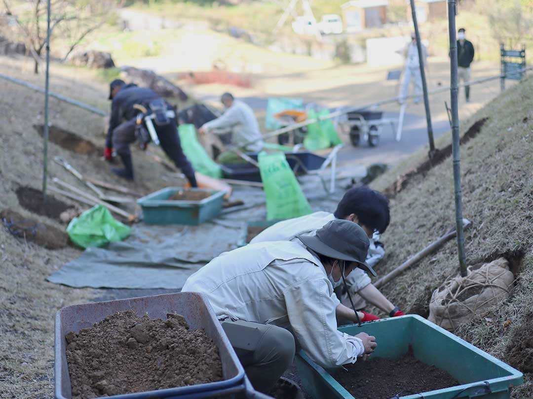 牧野植物園ふむふむ広場に虎竹移植