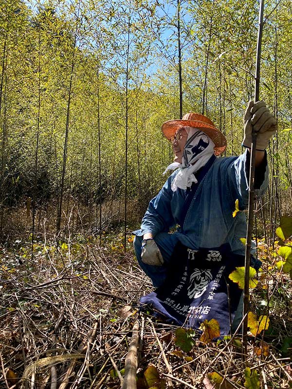 黒竹の竹林、竹虎四代目（山岸義浩）