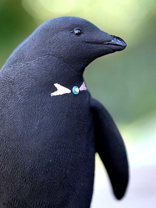 竹炭ペンギン