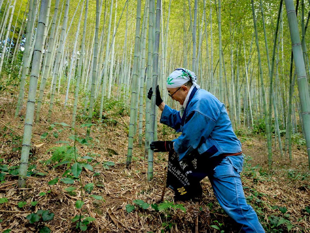 虎竹林、竹虎四代目（山岸義浩）