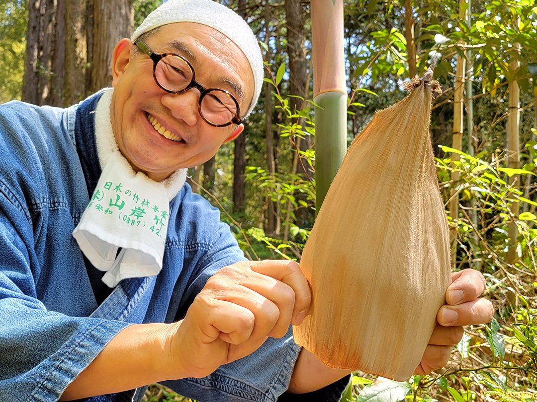 淡竹竹皮