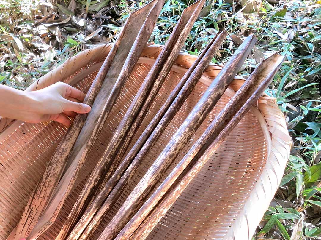 拾い集める竹皮