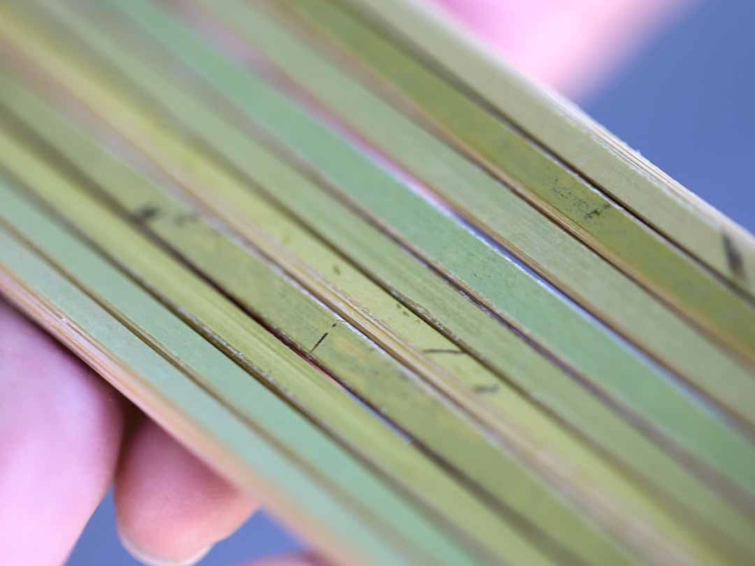 日本製竹皮付串