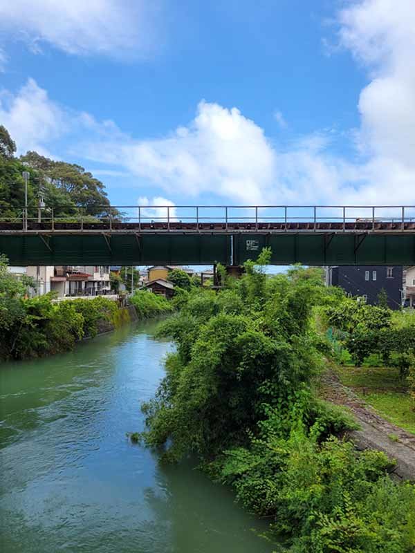 蓬莱竹、水防竹林