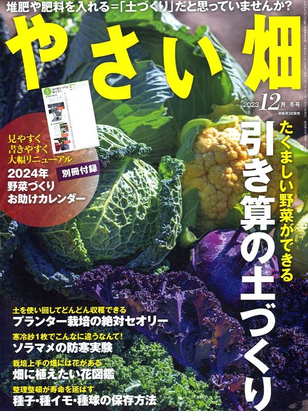 大幅最終値下　竹製　干しカゴ　網つき　2セット