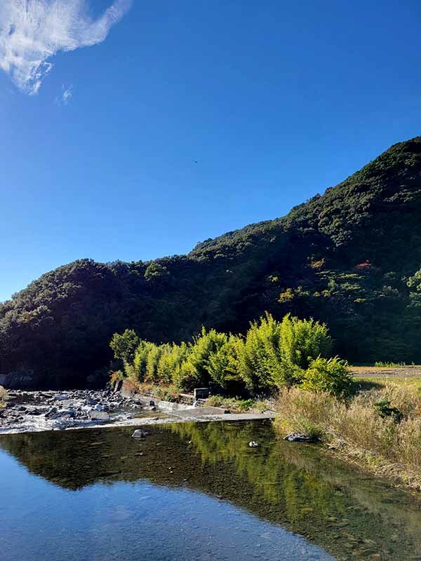 水害防備竹林