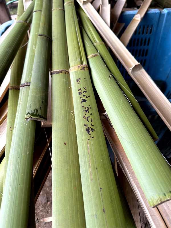 竹のシミ