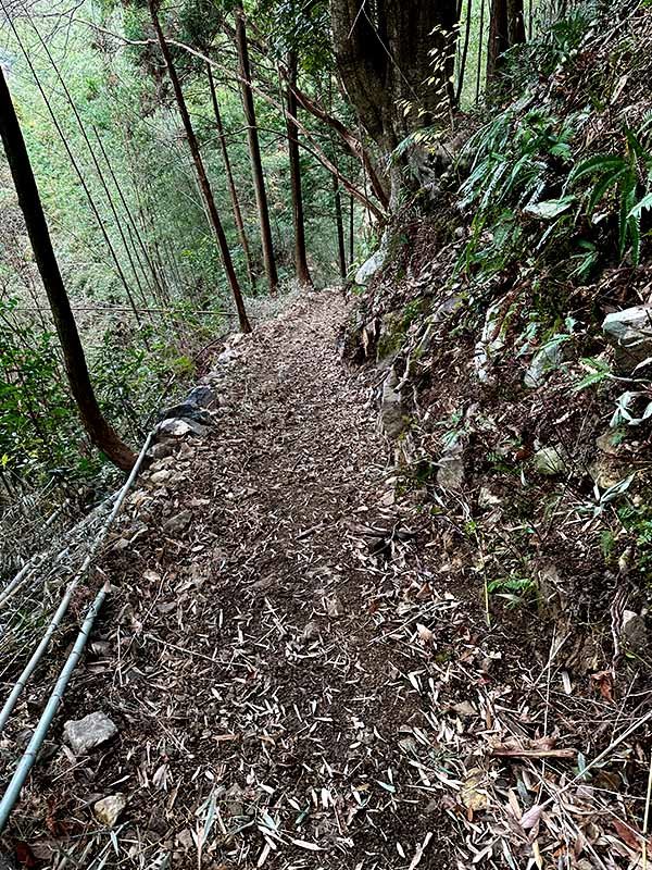 虎竹の里山出しの道