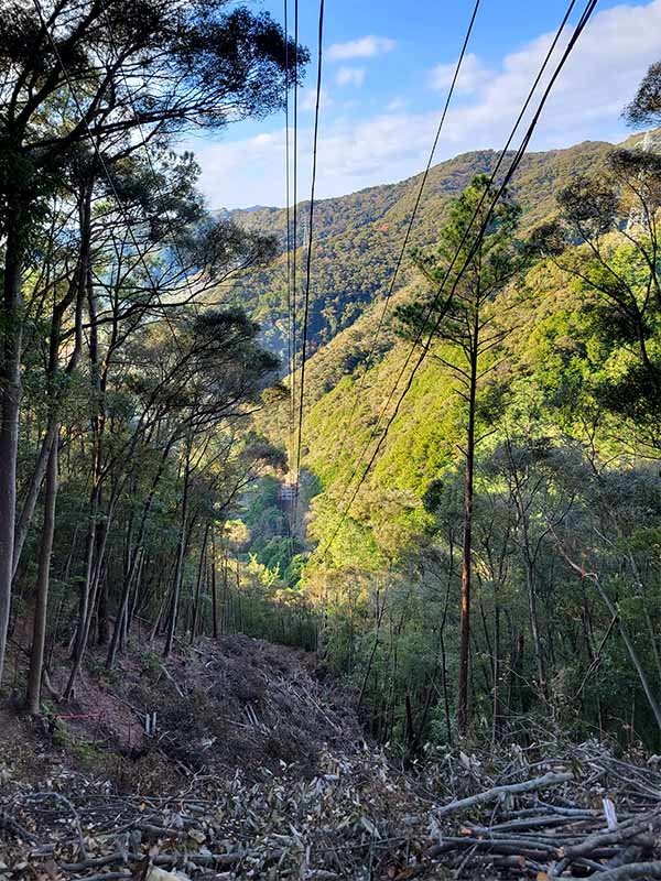 焼坂峠