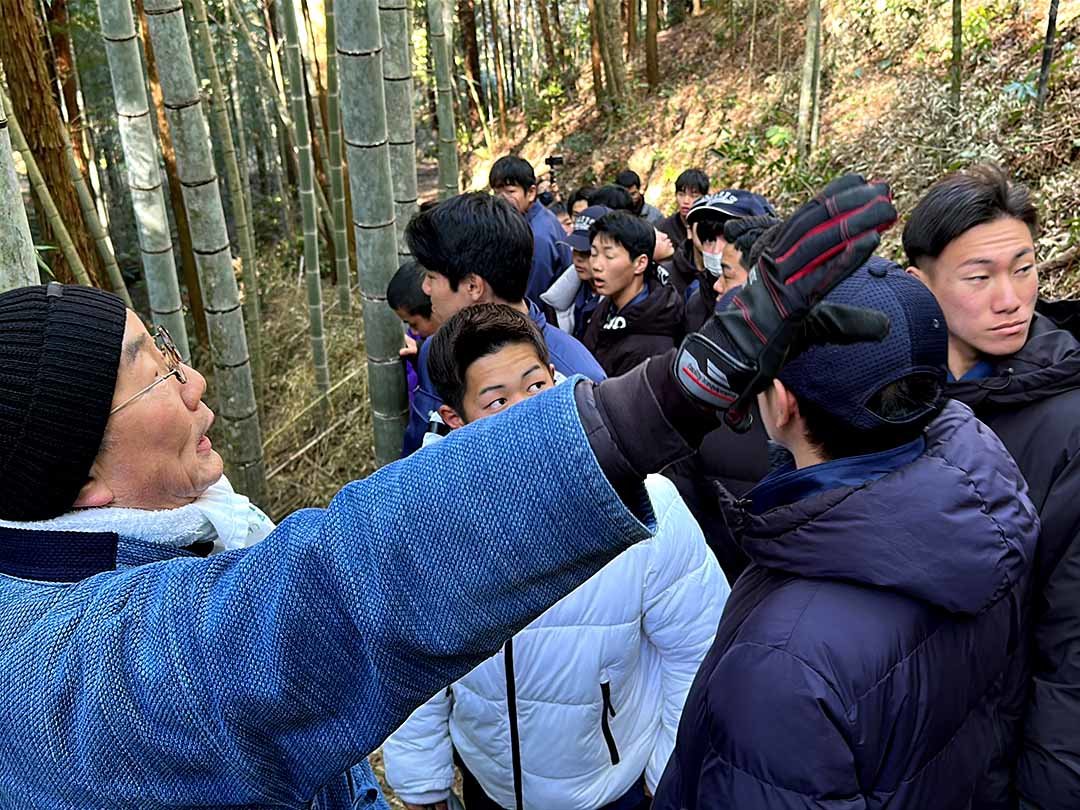 竹虎竹林見学