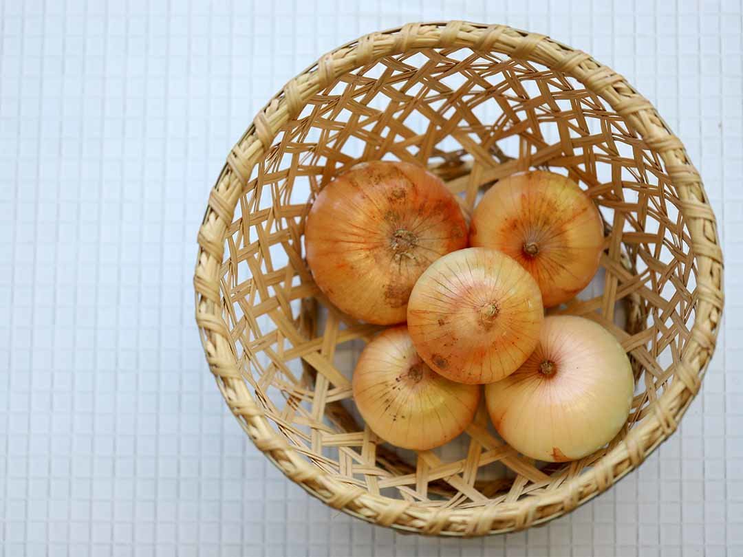 スズ竹野菜籠