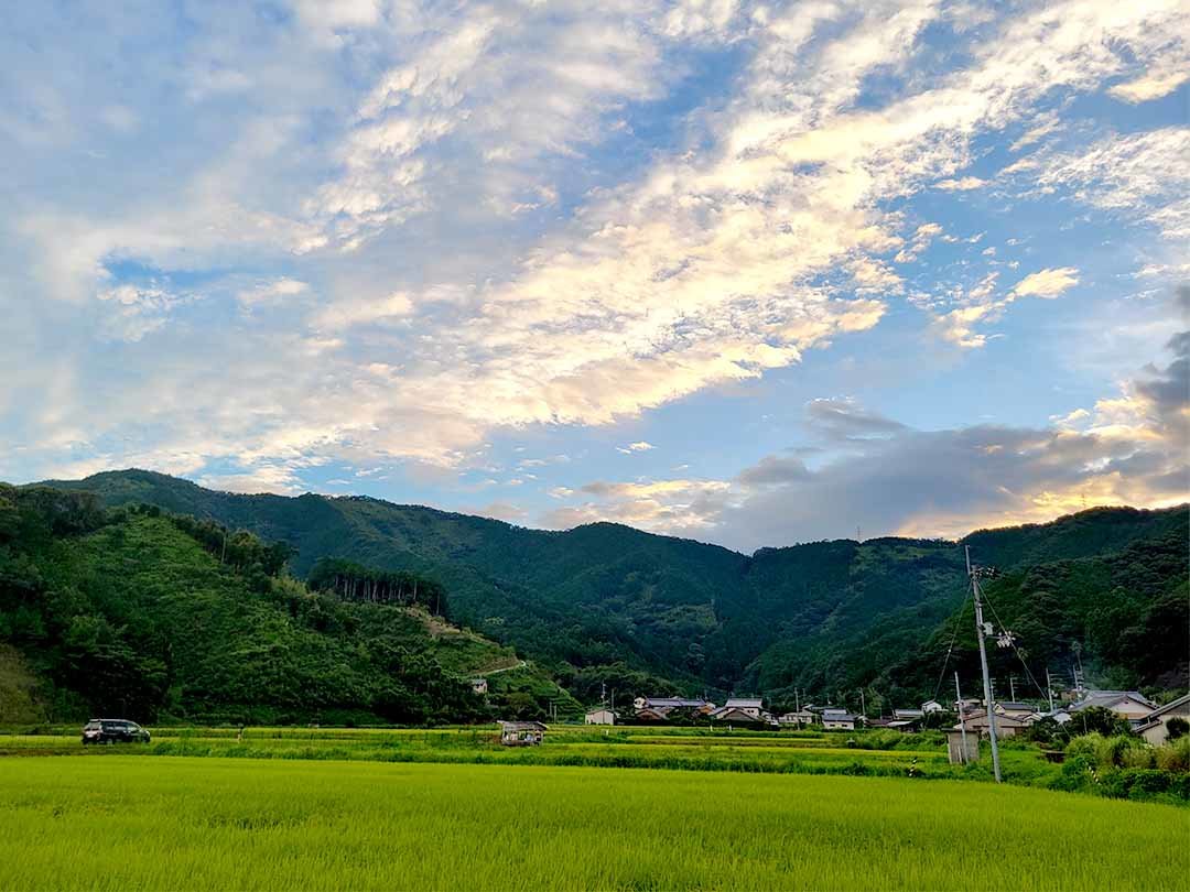 虎竹の故郷焼坂